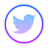 Seguimi su Twitter